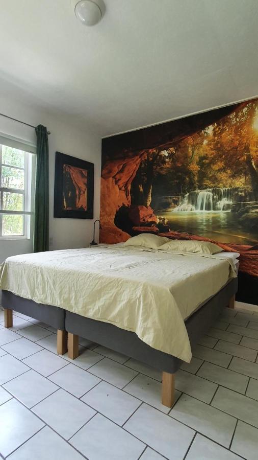 Apartment Greenflash كراليندايك المظهر الخارجي الصورة