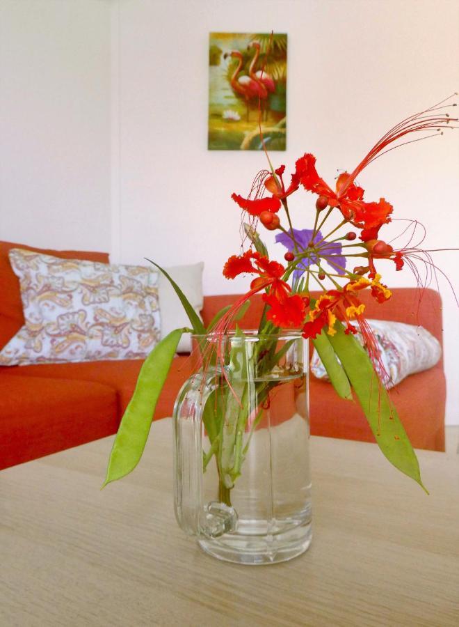 Apartment Greenflash كراليندايك المظهر الخارجي الصورة