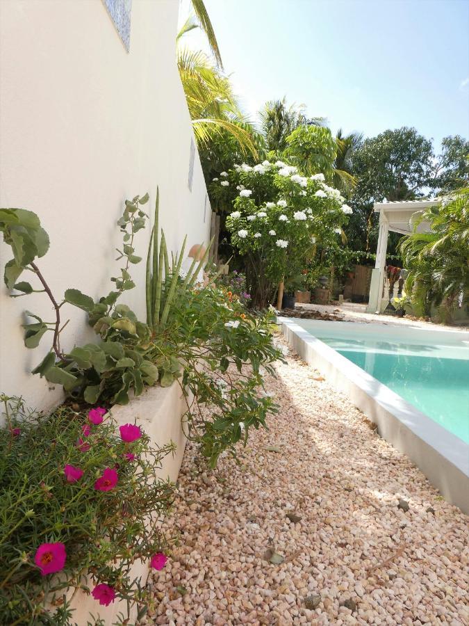 Apartment Greenflash كراليندايك المظهر الخارجي الصورة