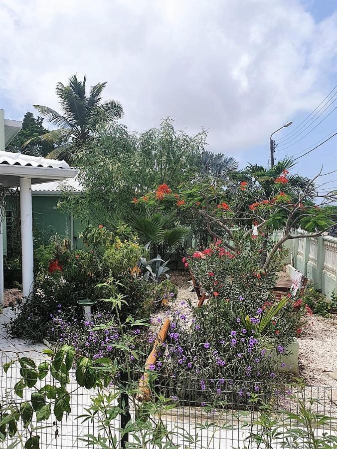 Apartment Greenflash كراليندايك المظهر الخارجي الصورة